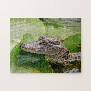 Young Alligator Legpuzzel