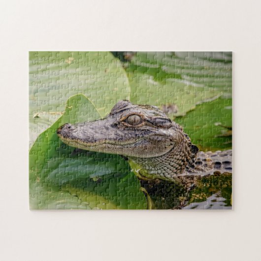 Young Alligator Legpuzzel (Horizontaal)