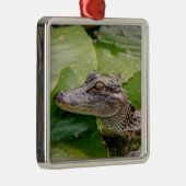 Young Alligator Metalen Ornament (Rechts)