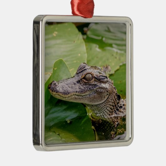 Young Alligator Metalen Ornament (Rechts)