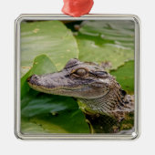 Young Alligator Metalen Ornament (Voorkant)