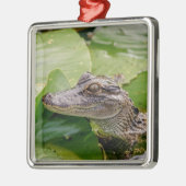 Young Alligator Metalen Ornament (Links)