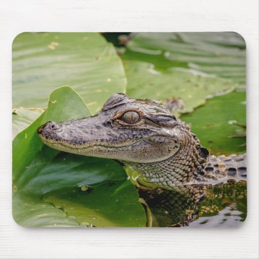 Young Alligator Muismat (Voorkant)