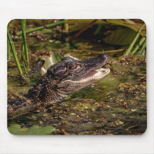 Young Alligator Muismat (Voorkant)