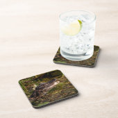 Young Alligator Onderzetter (Rechterzijde)