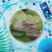 Young Alligator Papieren Bordje (Feest)
