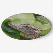 Young Alligator Papieren Bordje (Gekanteld)