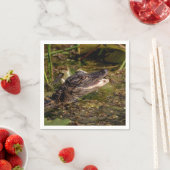 Young Alligator Servet (Insitu)