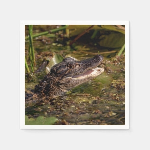 Young Alligator Servet