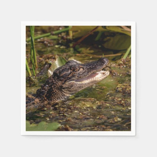 Young Alligator Servet (Voorkant)