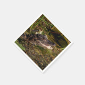 Young Alligator Servet (Hoek)