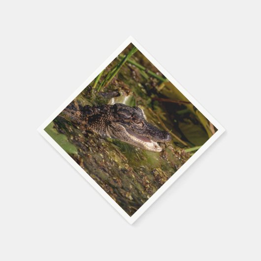 Young Alligator Servet (Hoek)