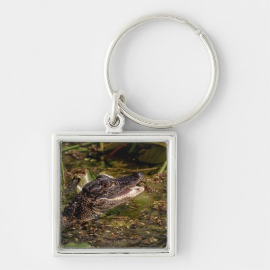 Young Alligator Sleutelhanger (Voorkant)
