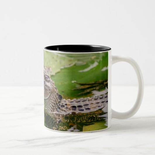 Young Alligator Tweekleurige Koffiemok (Rechts)