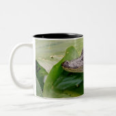 Young Alligator Tweekleurige Koffiemok (Links)
