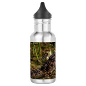 Young Alligator Waterfles (Links)