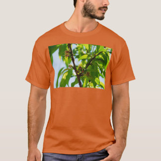 Young Almond Drupes 1 T-shirt