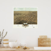 Young America Illinois 1869 Antiek Panoramic Map Poster (Keuken)