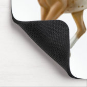 Young Appaloosa Horse Mousepad Muismat (Hoek)