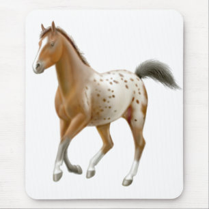 Young Appaloosa Horse Mousepad Muismat