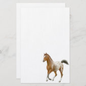 Young Appaloosa Horse Stationery Briefpapier (Voorkant / Achterkant)