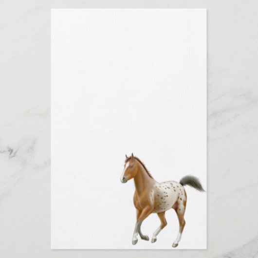 Young Appaloosa Horse Stationery Briefpapier (Voorkant)