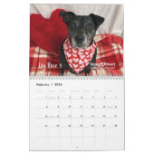 Young at Heart 2025 Kalender - Sweet Senior Souls (Feb 2026)