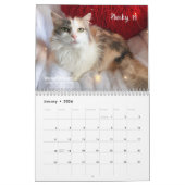 Young at Heart 2025 Kalender - Sweet Senior Souls (Jan 2026)