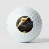 Young Australian Wombat, Golf Balls Golfballen (Voorkant)