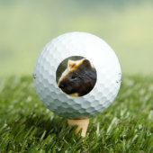 Young Australian Wombat, Golf Balls Golfballen (Insitu Shirt)