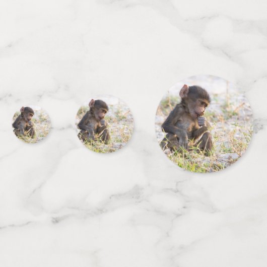 Young Baboon Confetti (Achterkanten)
