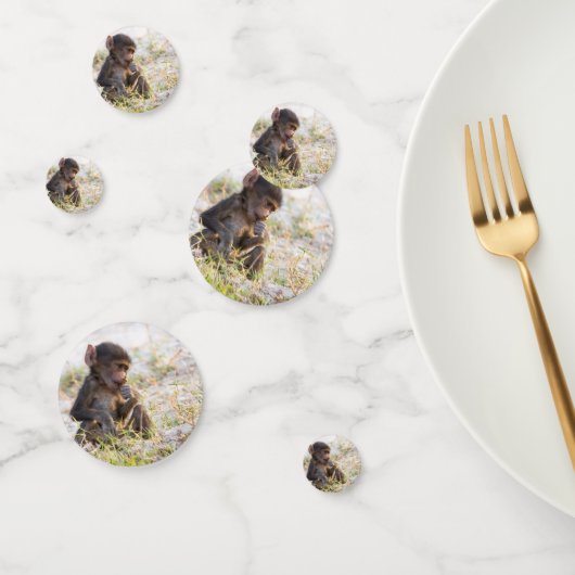 Young Baboon Confetti (Groep)