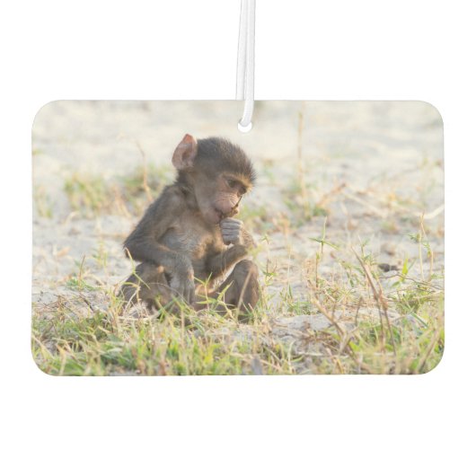 Young Baboon Luchtverfrisser (Achterkant)