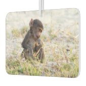 Young Baboon Luchtverfrisser (Links)