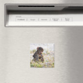 Young Baboon Magneet (Insitu (Vaatwasser))