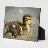 Young Baby Duck Fotoplaat (Zijkant)