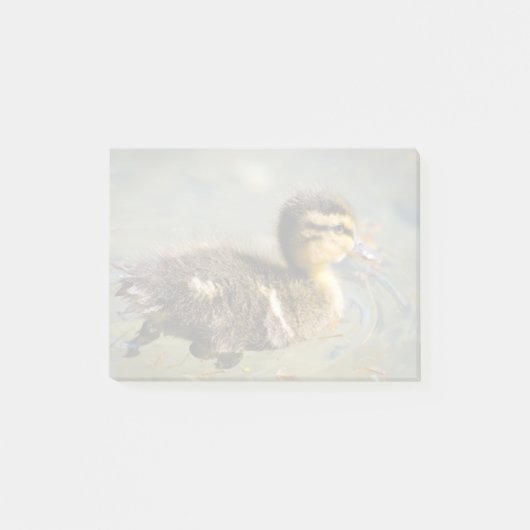 Young Baby Duck Post-it® Notes (Voorkant)