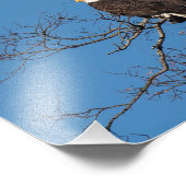 Young Bald Eagle Couple Foto Afdruk (Hoek)