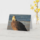 Young Bald Eagle on the Beach Birthday Card Kaart (Gele Bloem)