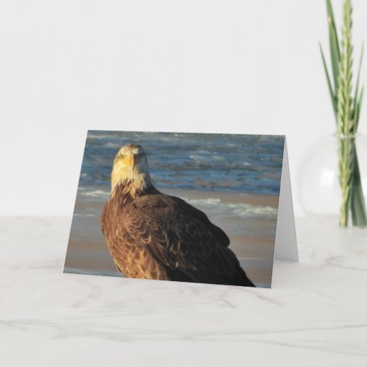Young Bald Eagle on the Beach Birthday Card Kaart (Voorkant)
