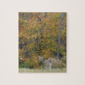 Young Bambi Deer met herfst bomen. Legpuzzel (Verticaal)