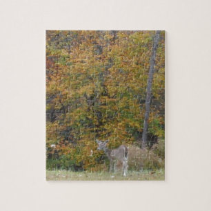 Young Bambi Deer met herfst bomen. Legpuzzel