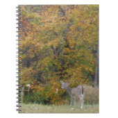 Young Bambi Deer met herfst bomen. Notitieboek (Voorkant)