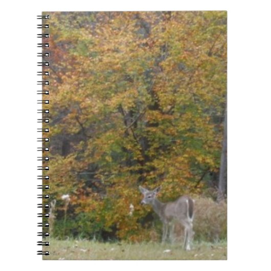 Young Bambi Deer met herfst bomen. Notitieboek (Voorkant)