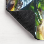 Young Bananas Muismat (Hoek)