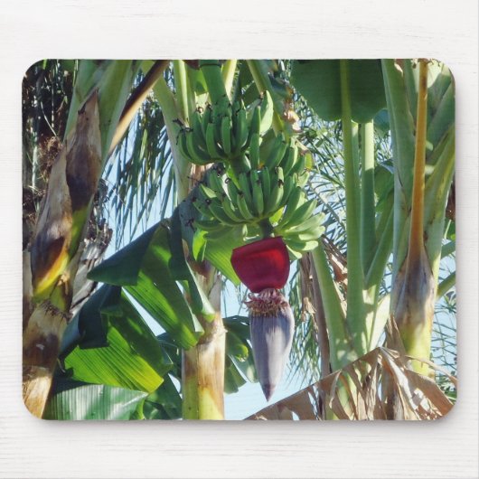 Young Bananas Muismat (Voorkant)