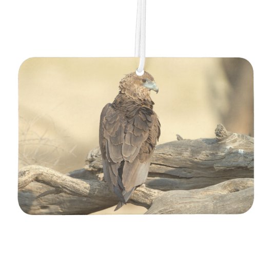 Young Bateleur Luchtverfrisser (Achterkant)