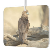 Young Bateleur Luchtverfrisser (Links)