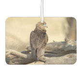 Young Bateleur Luchtverfrisser (Voorkant)