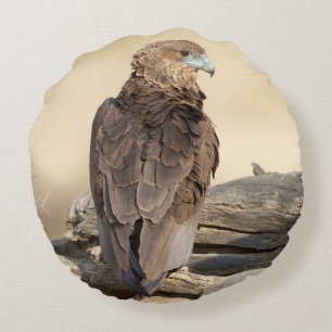Young Bateleur Rond Kussen